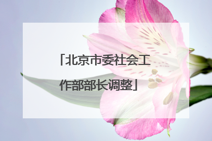 北京市委社会工作部部长调整